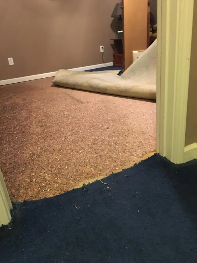 Carpet pad removal revealing water damage during Water Mitigation Services in Williamsville