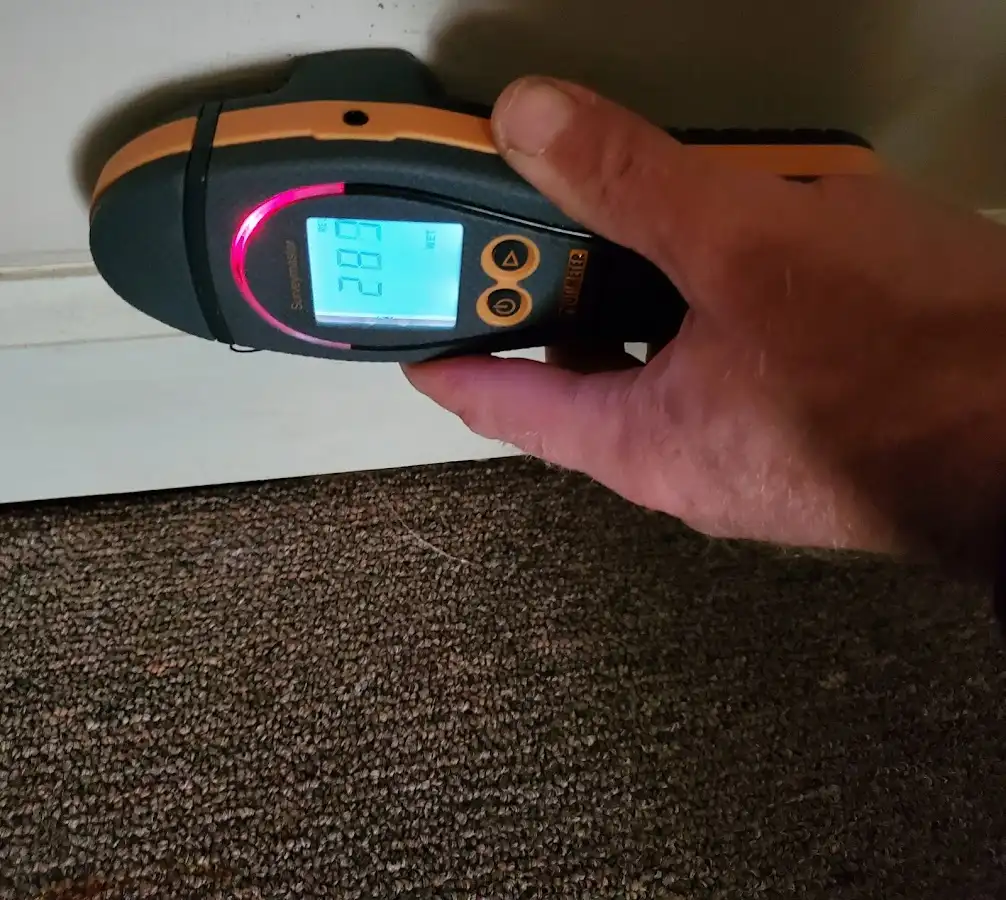 Moisture detection at baseboard during Mold Inspection & Testing in Williamsville